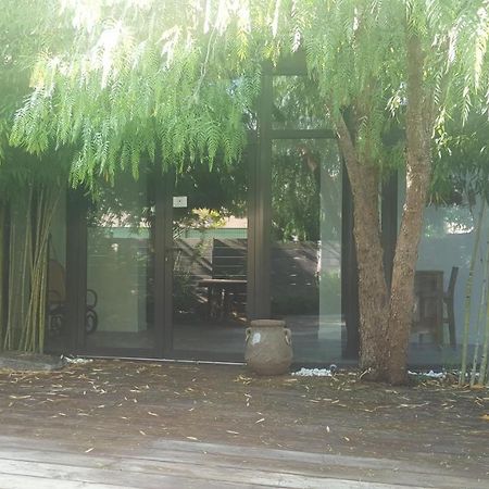 Les Aromatiques - Terrasse & Parking Prive A Villeneuve Les Avignon - Proche Golf Academy 외부 사진